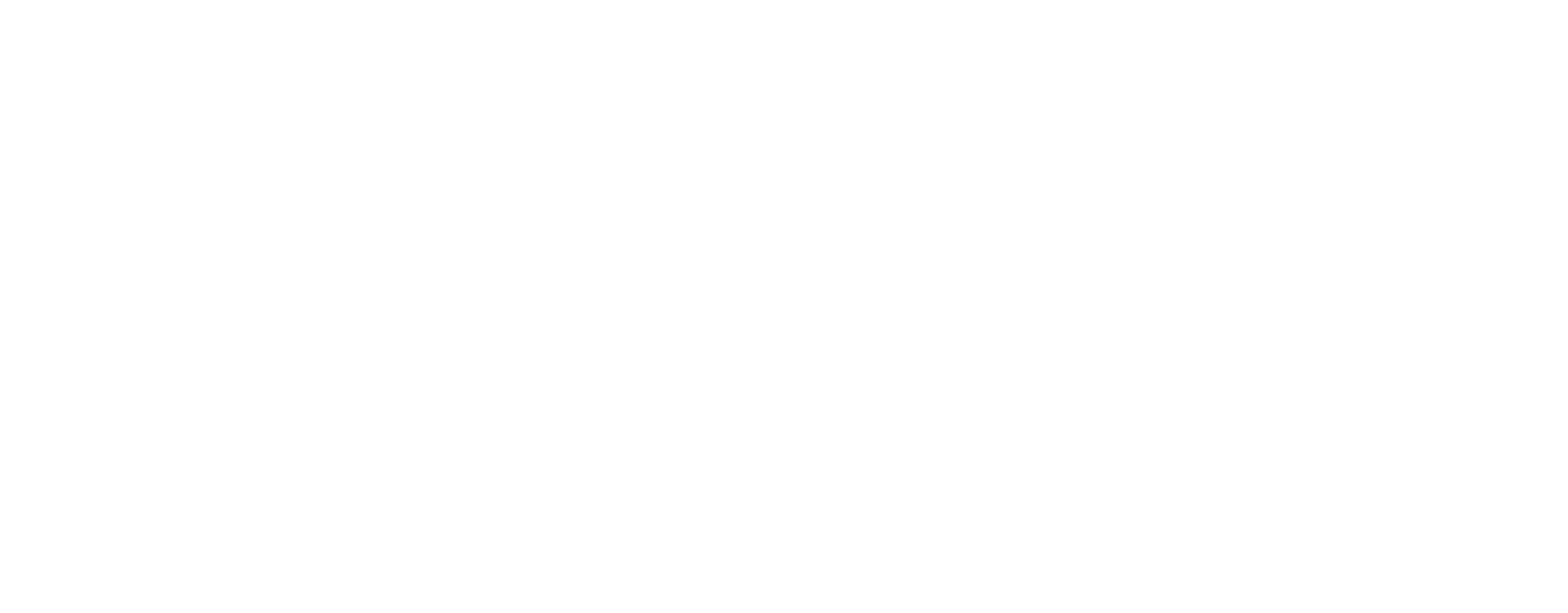 Norrsken_Evolve_Logo_White