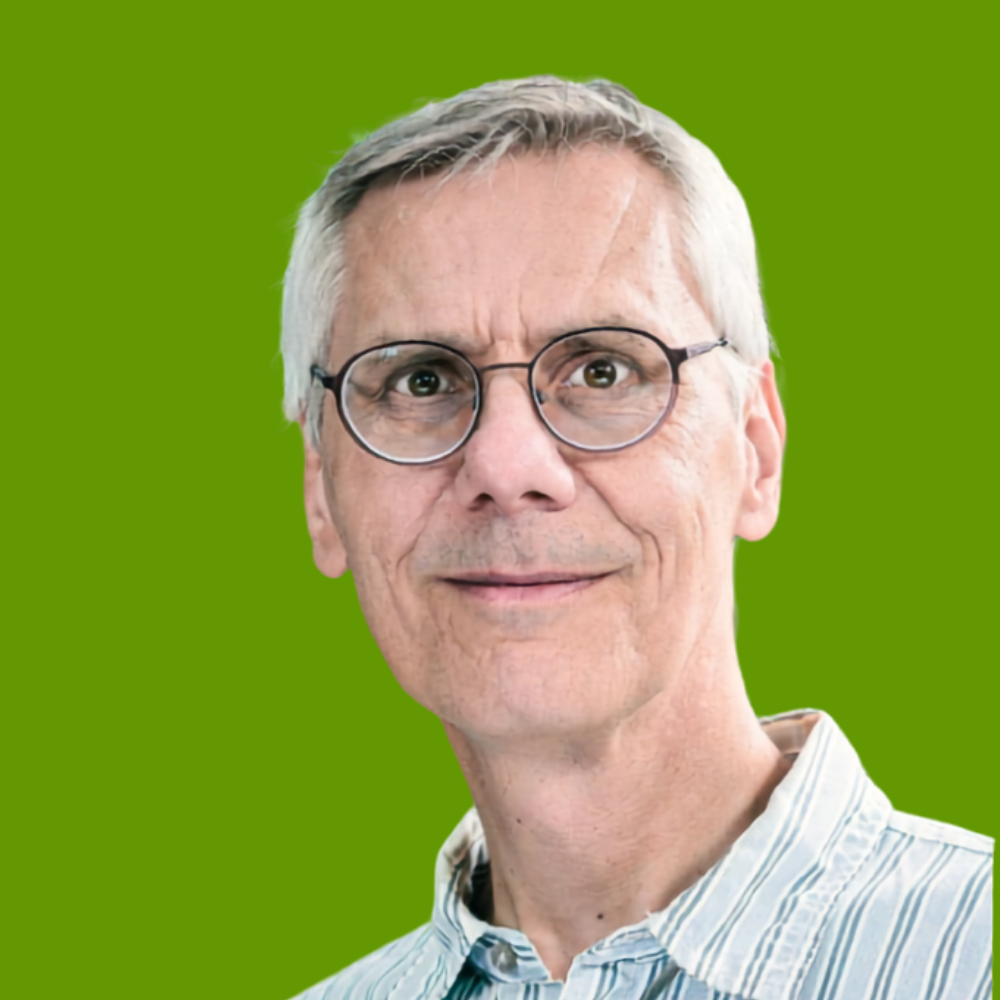 David Storek